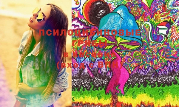 кокаин премиум Каменка