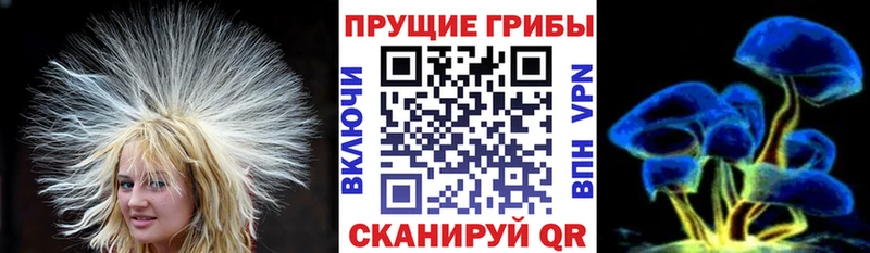 Псилоцибиновые грибы Cubensis  Уфа 